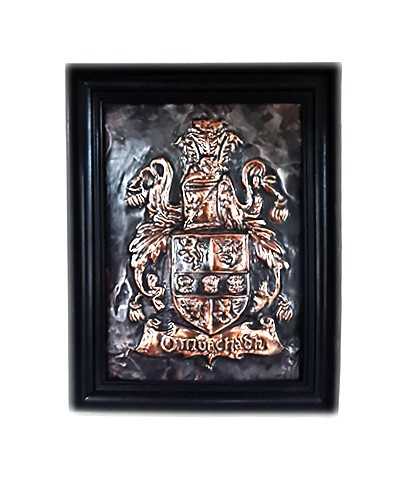 Irish-Coat-of-Arms-Crest.